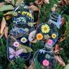 20PCS DIY PET Stickers Transparent DIY Book Marks High Quality Homemade Plant Specimens  Students