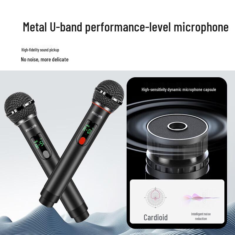 Philips SD659MAX Portable KTV Karaoke System CN plug (adapter included) (CN version)