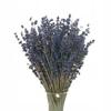 Dried Dark Blue Lavender Bouquet ~150 Pcs.