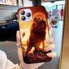 For Cubot P80 Case Funda Black Silicone TPU Protective Shell For Cubot P80 Back Cover Soft Phone Case P 80 Fashion Coque