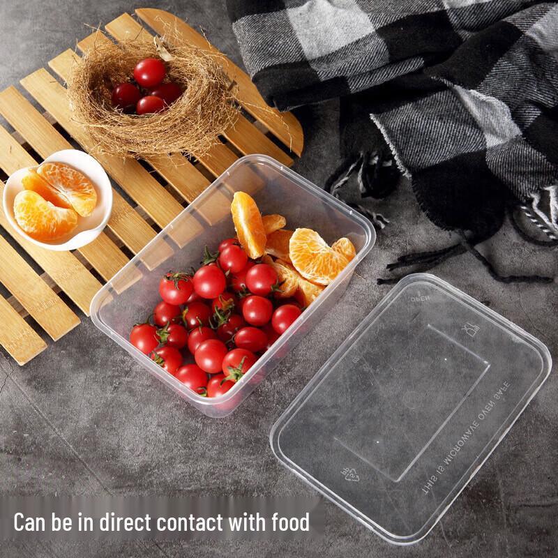 Bingyao Disposable Rectangular Lunch Box with Lid
