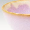Japanese ceramics Tsubakihide kiln Hagimurasaki set rice bowl M54875350