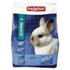 Food - Care+ - Junior Rabbit - 10 Kg - 25% Fibre - No Added Sugars - Vitamin a