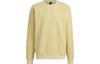 Pullover Herren Gelb Rundhals Mittel Regulär HY5840