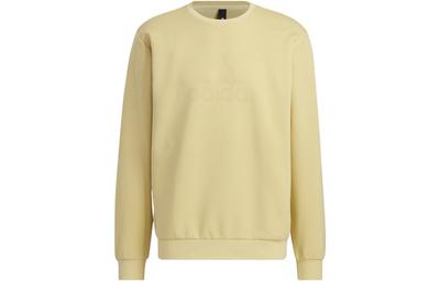 Pullover Herren Gelb Rundhals Mittel Regulär HY5840