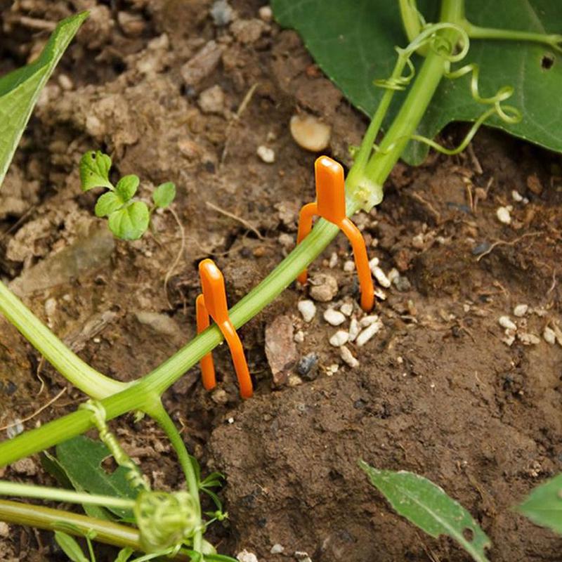 50Pcs Plastic Plant Clips Fixing Fastening Clamp Strawberry Farming Clip