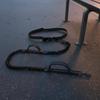 Double Bungee Leash Elastic Running Reflective Stitching for Runners