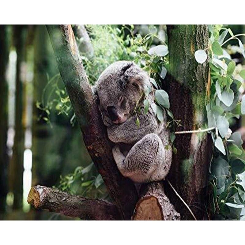 5d diamantmalingssett Koalabroderi Stue Veggdekorasjon Mosaikk Dyrehåndlaget gave Diamantkunst