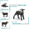 Authentic Black Sheep And Lamb Model Toys For Kids Fun Farm Animal Exploration