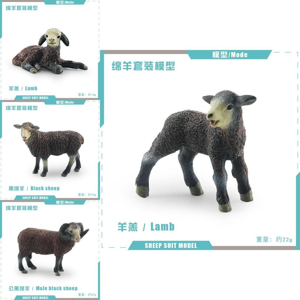 Authentic Black Sheep And Lamb Model Toys For Kids Fun Farm Animal Exploration