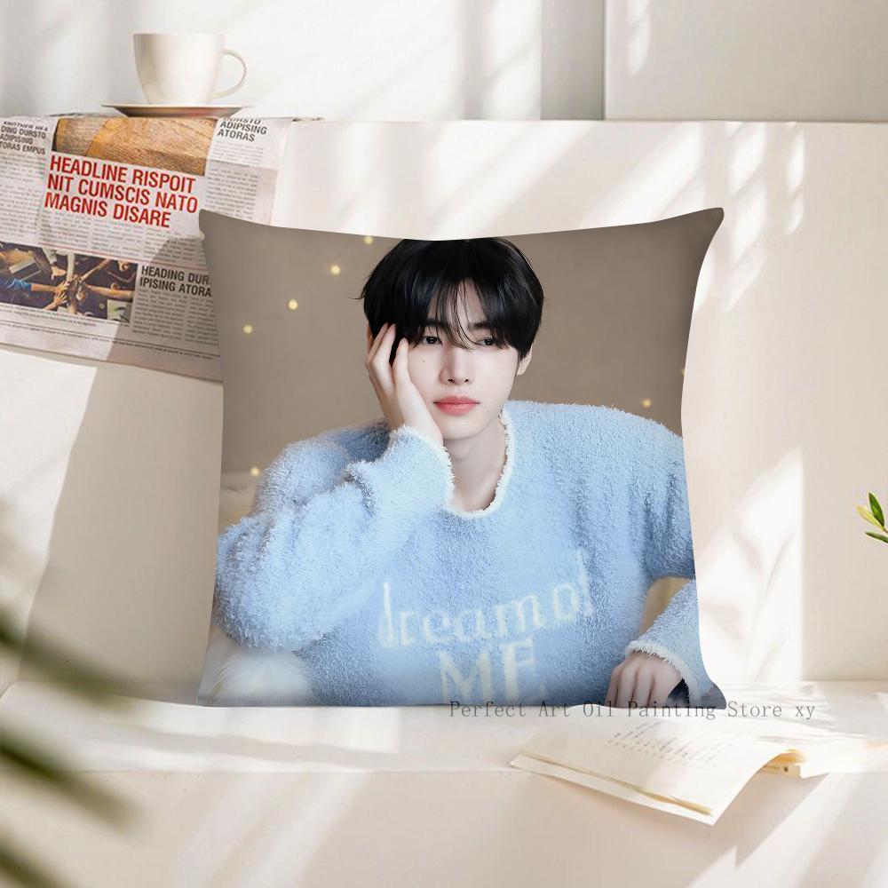 1 Stück KPOP Park Sunghoon Kissenbezug Quadratischer Kissenbezug Schlafzimmer Sofa Raumdekoration Lässig E-ENHYPEN Kissenbezug