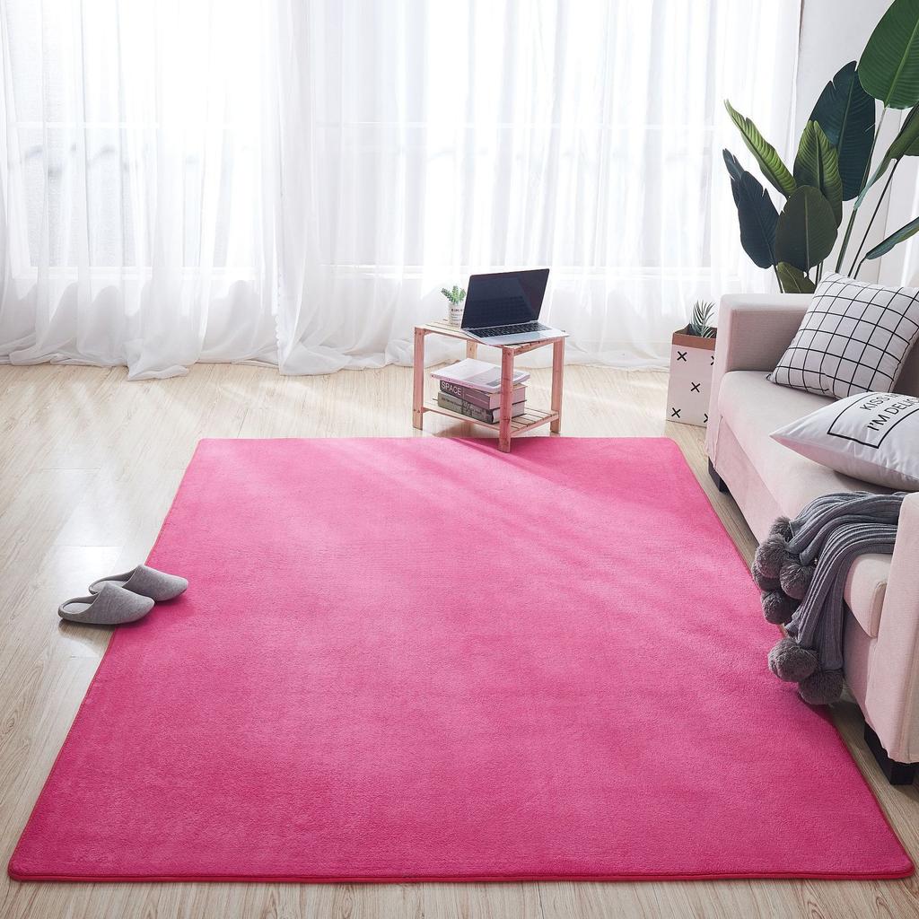 Thickened Coral Velvet Carpet Floor Mat Door Mat Door Entry Living Room Bedroom Bathroom Toilet Kitchen Absorbent Foot Mat