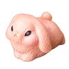 10Pcs Miniature Rabbit Figurines Resin Animal Statues Perfectly for Easter Decorations and Birthday Cake Toppers