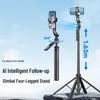 Accesorii pentru telefoane – Selfie stick-uri