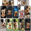 Yorkshire Terrier Yorkie Dog Pet Cover Case for Samsung Galaxy S21 S20 Fe S23 S22 Ultra S8 Plus A25 A12 A13 A21S A73 + Casing