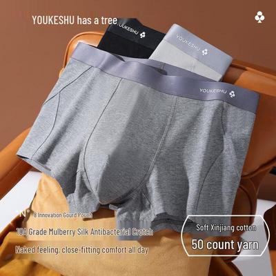 Chiloței – Boxeri