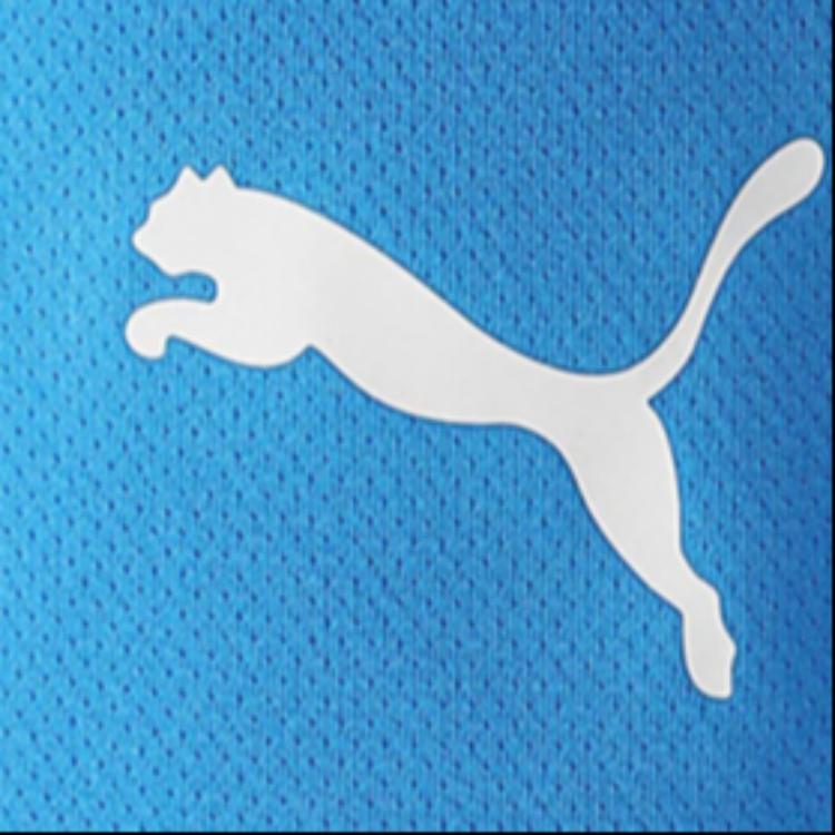 Puma Teamrise Breathable Comfortable Five-Point Soccer Shorts Men shorts Light-Blue 704942-18