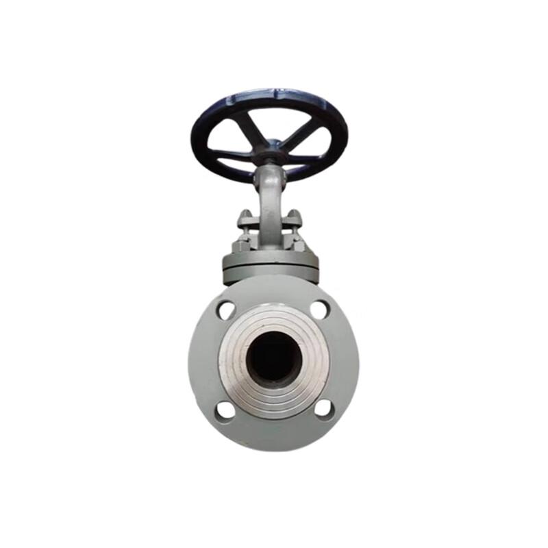 Runhong Cast Steel Flange Globe Valve