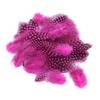 Yousheng 50Pcs Guineahen Feathers Natural Chicken Tail Feathers Bright Colors 4.5-10cm Feathers for Crafts DIY Earrings Dream Catcher Wedding Easter