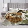 Coperta Cane Basset Hound Coperta Plaid in Flanella per Divano Letto Coperta Morbida Leggera da Ginocchio, Migliori Regali per Amanti degli Animali