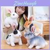Cute Bunny Plush Toy Decorative Prop For Photography
