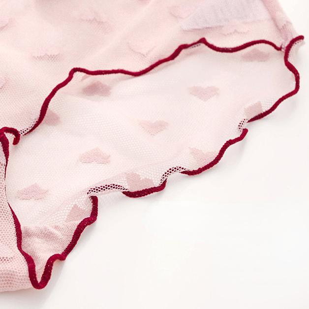 Lace Underwear Lingerie for Women Transparent Sexy Panties