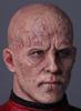 [AC] PRESENT TOYS 16 Collection Doll Series Bald PT-SP88 Articulated Action Figure Head