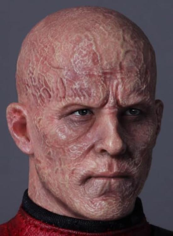 [AC] PRESENT TOYS 16 Collection Doll Series Bald PT-SP88 Articulated Action Figure Head