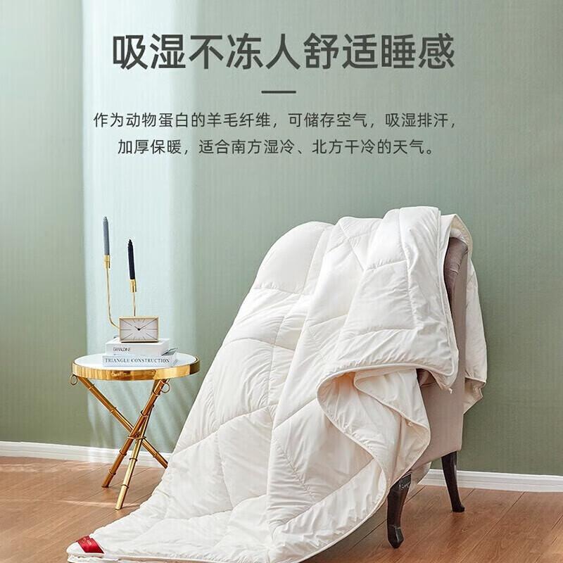 

Dream Bedding All-Season Duo Quilt