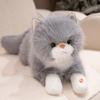 The Simulation Will Be Called Ragdoll Cat Doll Plush Toy Kitten Doll Girl Ragdoll Birthday Gift