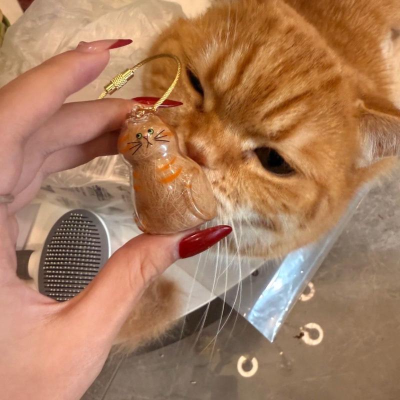 Transparenter Katzenhaar Aufbewahrungs Schlüsselanhänger Anhänger