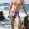 FENTENGCARE Men's Ice Silk Seamless Antibacterial Boxer Briefs