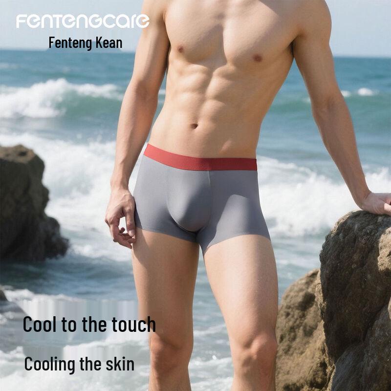 FENTENGCARE Men's Ice Silk Seamless Antibacterial Boxer Briefs