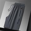 Men's Plus Size Ice Silk Quick-Dry Breathable Summer Shorts - Casual and Straight Leg Design