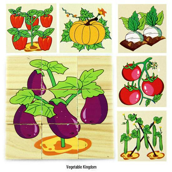 Wooden 3D Jigsaw Puzzle - Educational Birthday Gift for Kids with Six-sided Painting Blocks