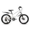 Permanent Youth 20-inch 8-Speed Suspension Mountain Bike