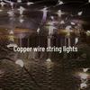 Cross-border LED Copper Wire String Light with Battery Box and Button Control