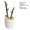 Creative Glass Cactus Ornament Mini Desktop Plant Decor for Office Home Handcrafted Decorative