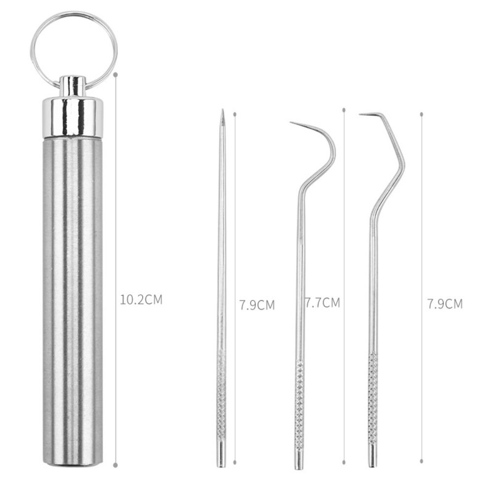 Oral Cleaning Tool Tooth Flosser Seal Storage Box Stainless Steel Toothpick Set Keychain Holder Toothpick Pocket Set Tooth Pick