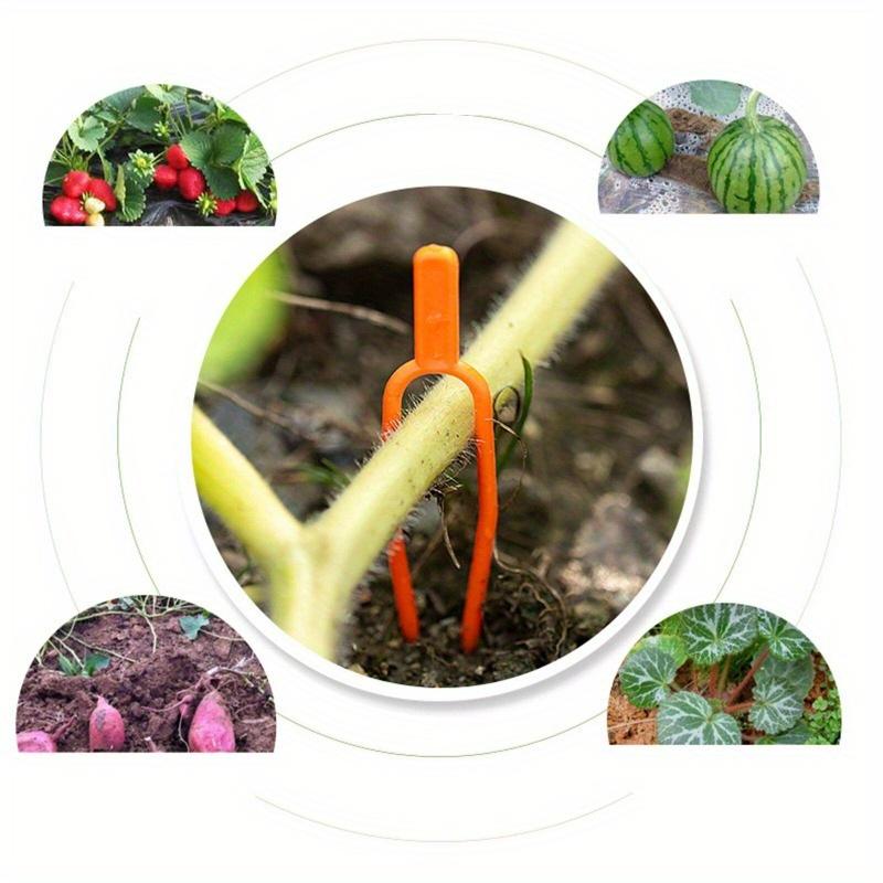 100pcs Plant Clip Strawberry Fork Tool Gardening Plastic Environmental Orange Durable Fixed Fixture Clamps Plant Fixed Tools