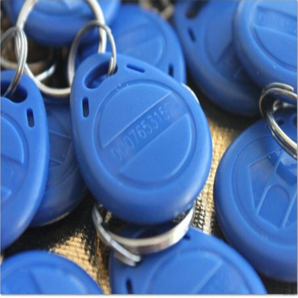 100Pcs 25KHz/13.56 Tag For Control Access
