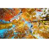 3d Ceiling Wallpaper Autumn Leaves White Doves Nature Scenery Ceiling Murals For Living Room Bedroom Home Decor