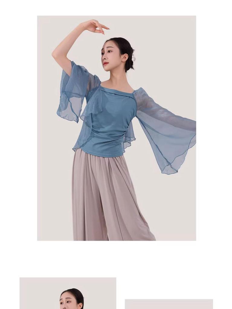 Women's Mesh Long Sleeve Dance Top - Body Shaping, Autumn/Winter, Classical Chinese Style