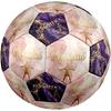 Ronaldo's Golden Legacy Size 5 Football Machine Sewn Indoor/Outdoor Training and Matches Ideal for Soccer Enthusiasts