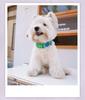 Waterproof Dog Collar with Leash for Small, Medium, and Large Dogs - Ideal for French Bulldogs