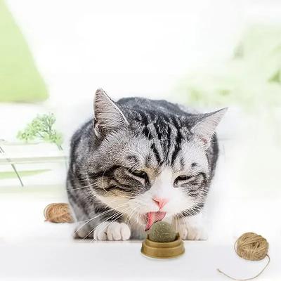 Juguete de pelota para pared con hierba gatera natural para gatos, rascador, golosinas, natural y saludable, elimina las pelotas para promover la digestión, bocadillo de hierba para gatos