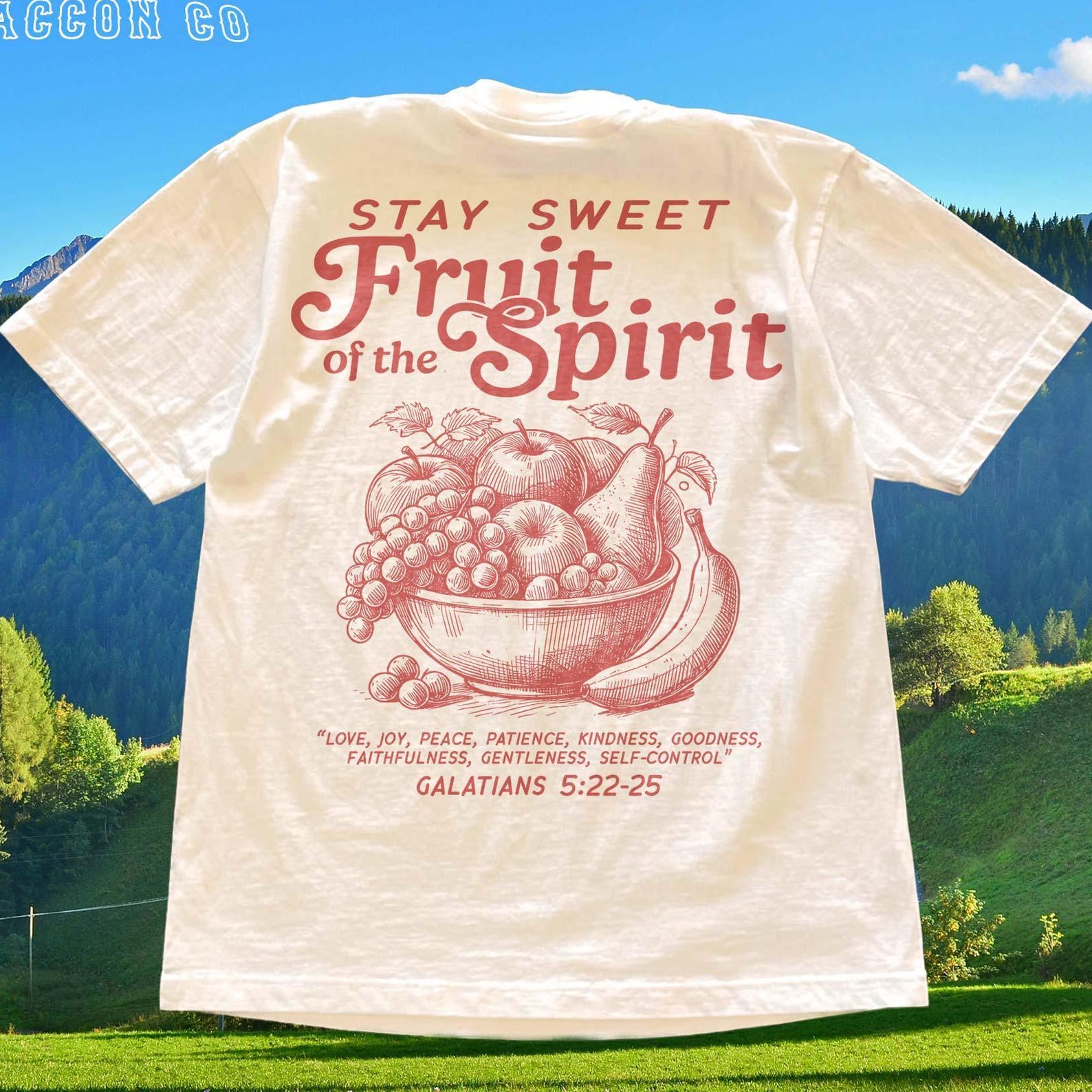 Fruit of the Spirit Shirt, Christian T-shirt for Women Men, Vintage Faith Apparel, Bible Verse Tee, Aesthetic Religious Gift for Her Him S
