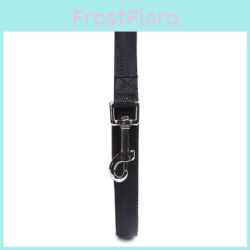 Durable And Stylish Dog Leash Ideal For Training With Options From 6 To 100 Feet Long
