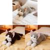 Plush Cat With Cartoon Design For Girls Bedroom Decor Gift Idea