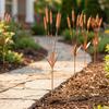 Jardinagem e paisagismo – Decoração de jardim